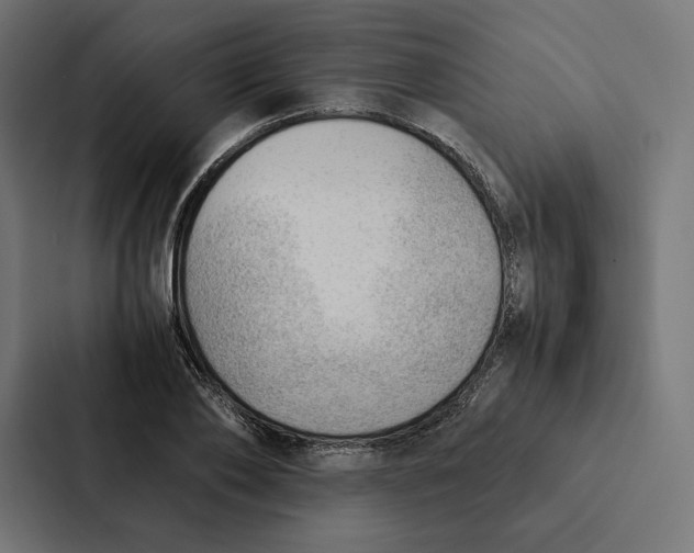 X0000087310886200705112115