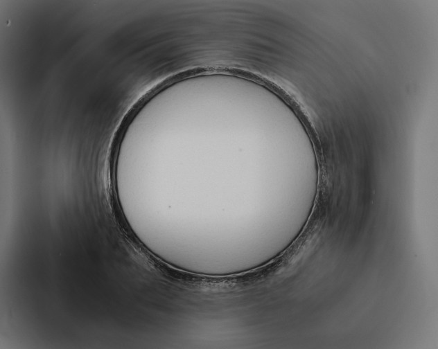 X0000087310887200705112114