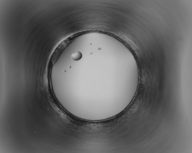 X0000087310888200705112114