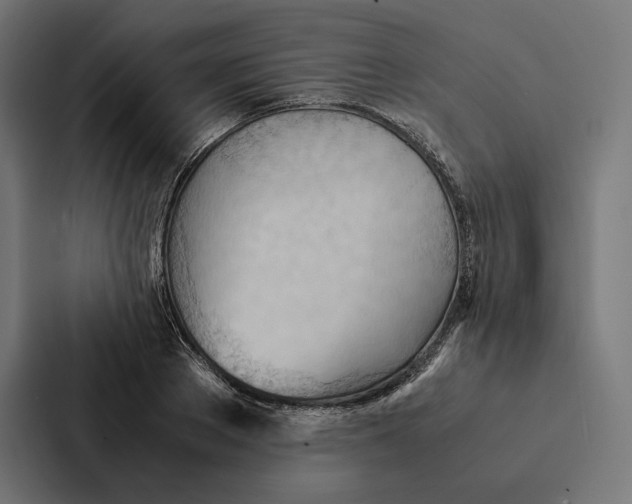 X0000087310889200705112114