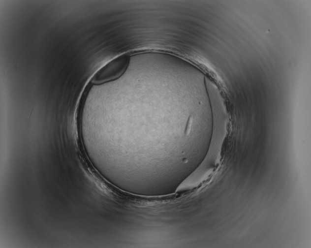 X0000087310892200705112114