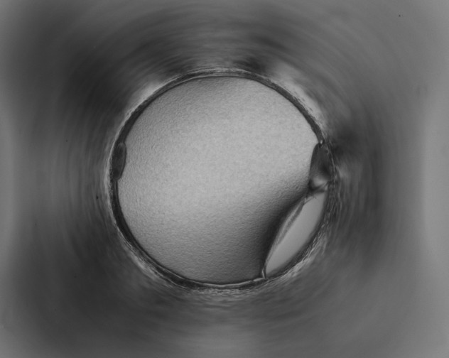 X0000087310893200705112114