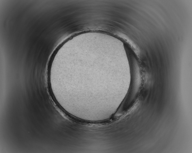 X0000087310894200705112114