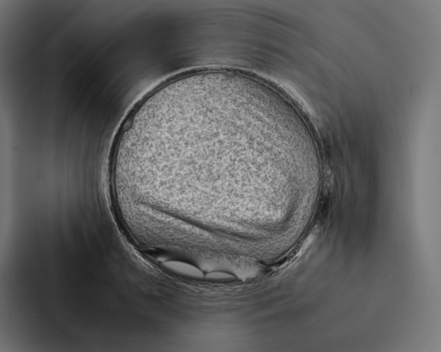 X0000087310895200705112114