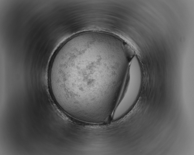 X0000087310896200705112114