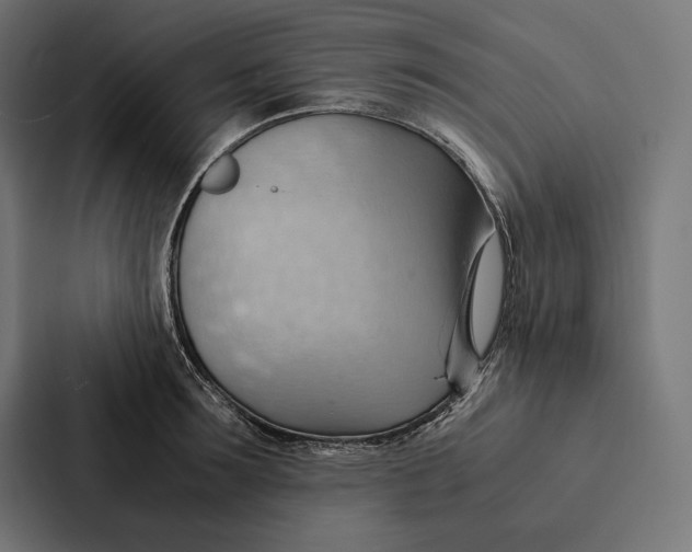 X0000087310899200705112114