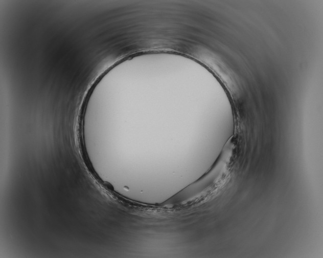 X0000087310901200705112114