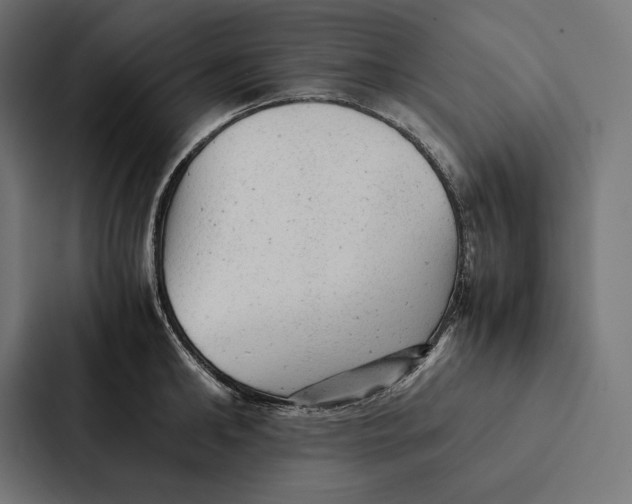 X0000087310902200705112114