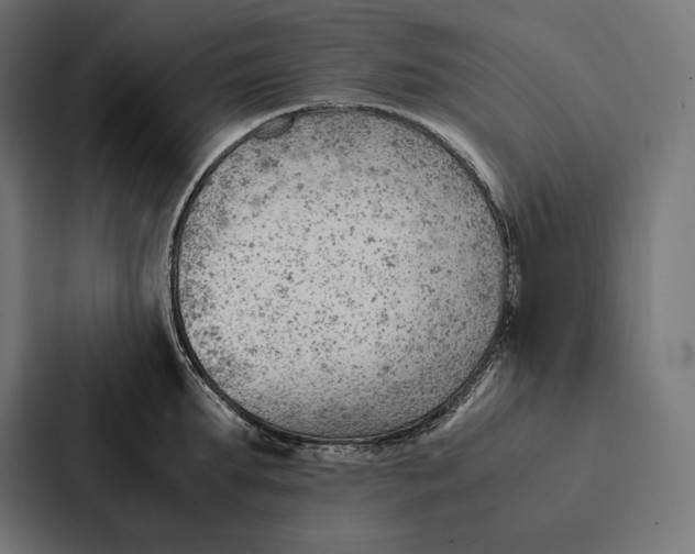 X0000087310903200705112114