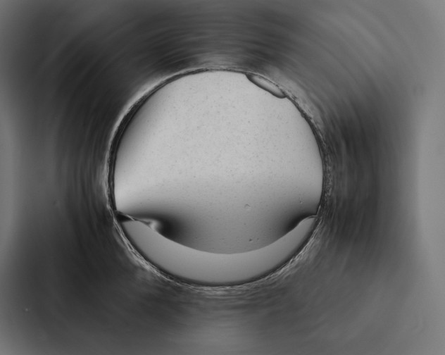 X0000087310904200705112114