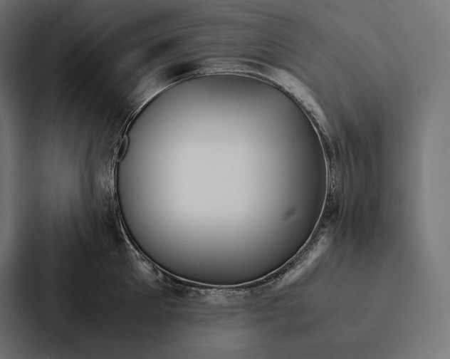 X0000087310905200705112114