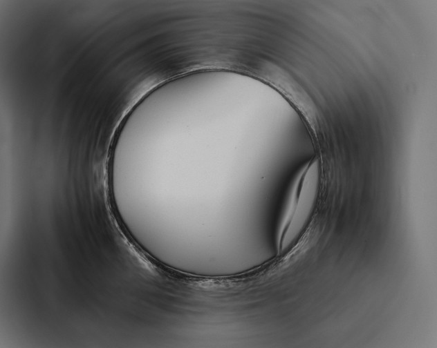 X0000087310906200705112114