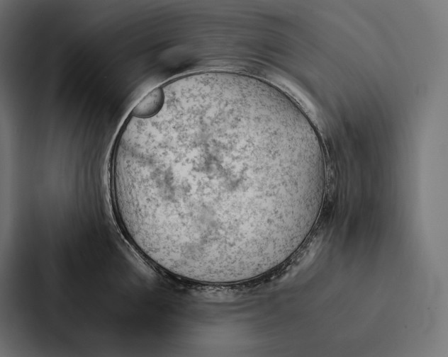 X0000087310907200705112114