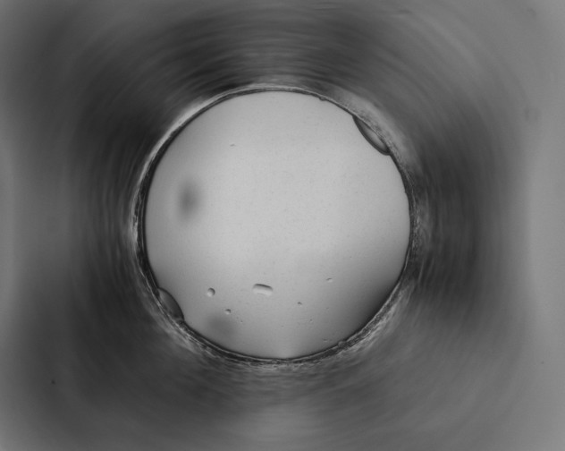 X0000087310908200705112114