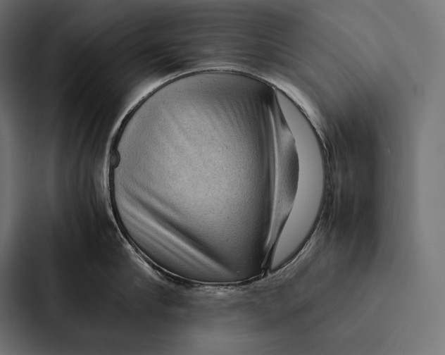 X0000087310910200705112114