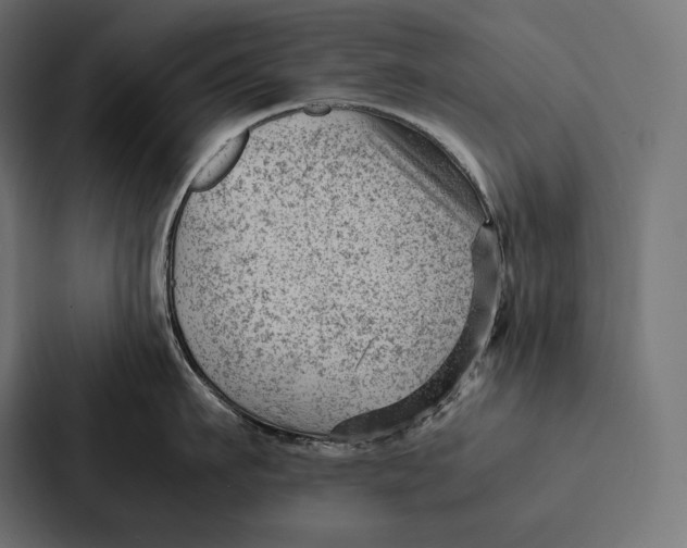 X0000087310911200705112114