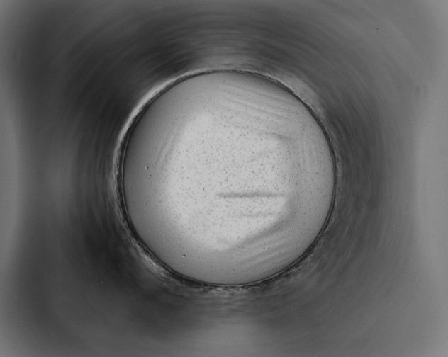 X0000087310912200705112114