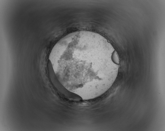 X0000087310913200705112114