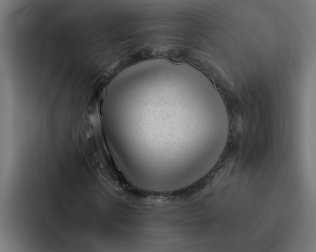 X0000087310914200705112114