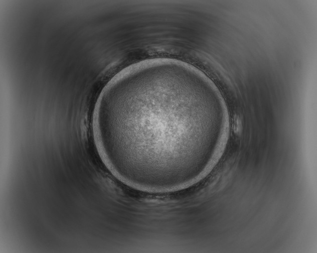 X0000087310915200705112114