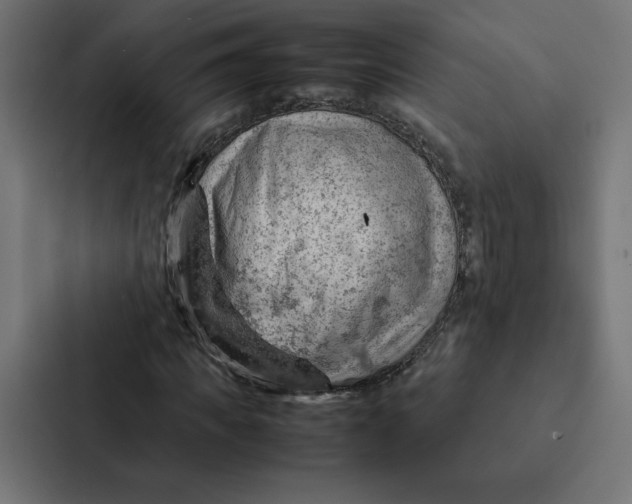 X0000087310917200705112114