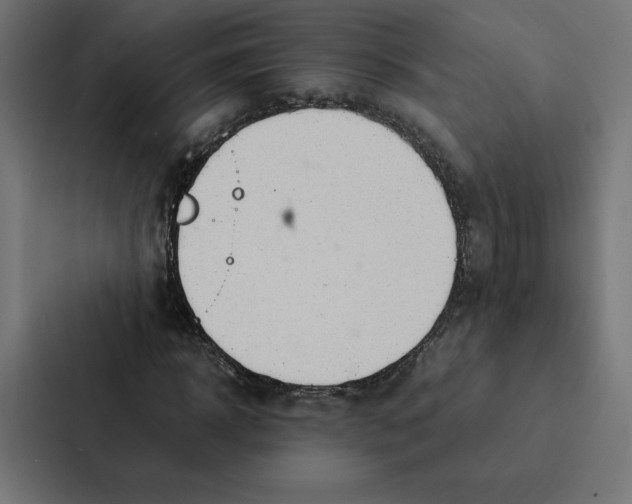 X0000087310918200705112114