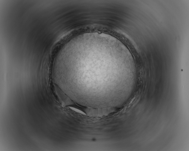 X0000087310919200705112114