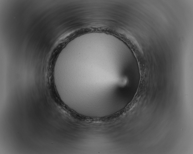 X0000087310920200705112114