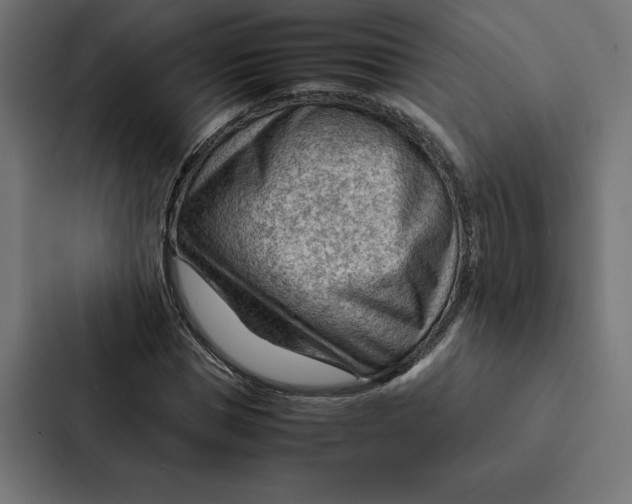 X0000087310921200705112114