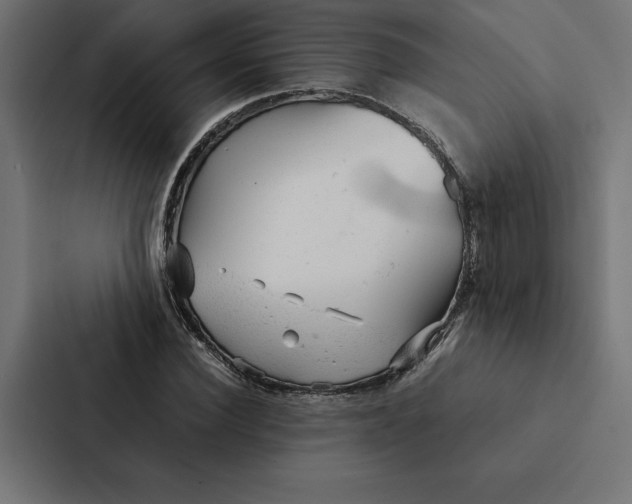 X0000087310924200705112114