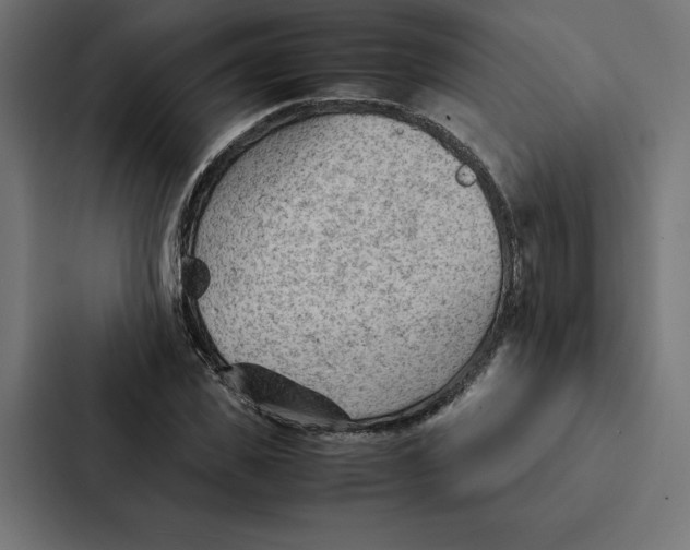 X0000087310925200705112114