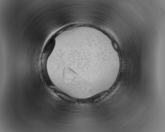 X0000087310928200705112114