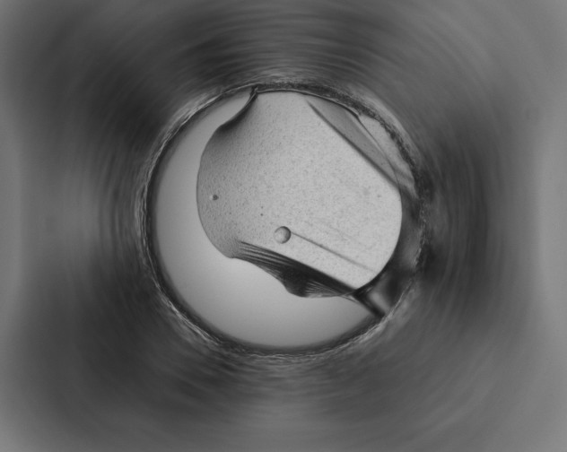 X0000087310930200705112114