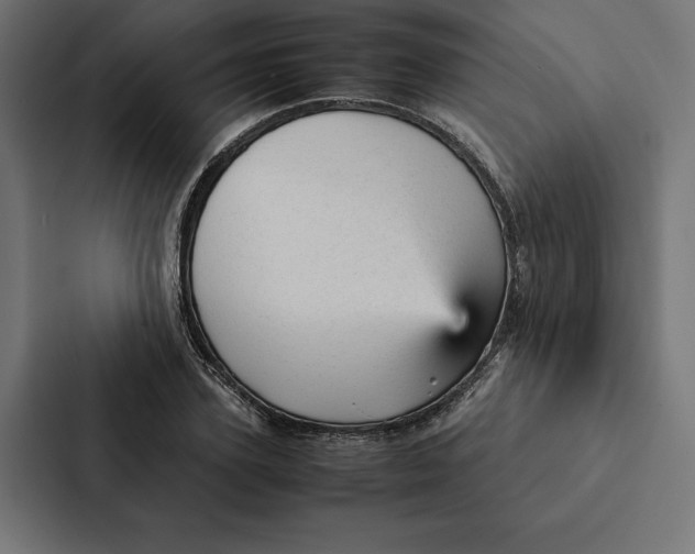 X0000087310931200705112114