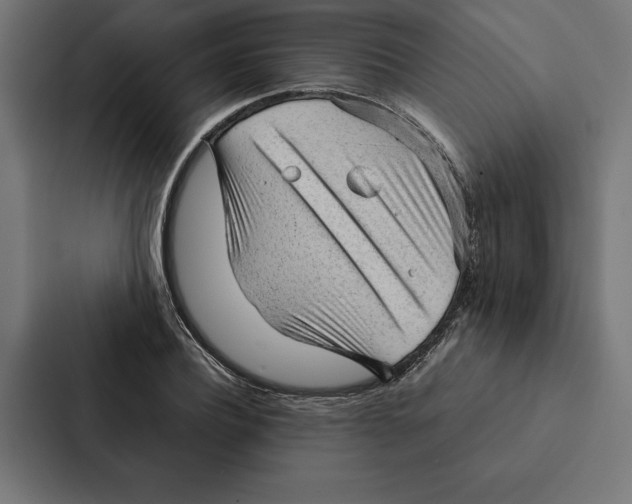 X0000087310932200705112114