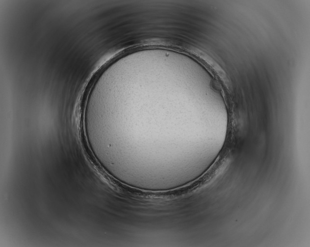 X0000087310933200705112114