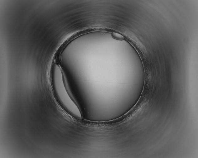 X0000087310934200705112114