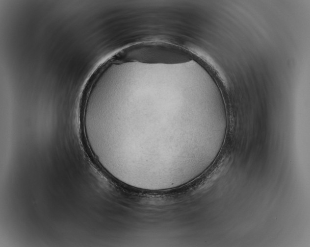 X0000087310935200705112114