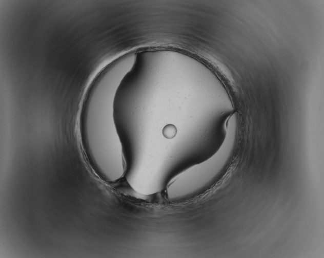 X0000087310936200705112114