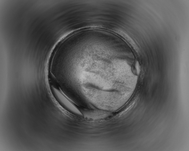 X0000087310939200705112114