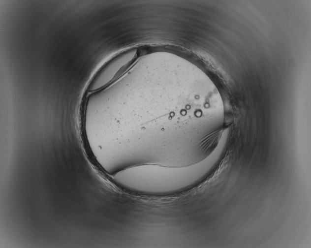 X0000087310942200705112114