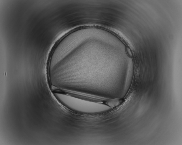 X0000087310943200705112114