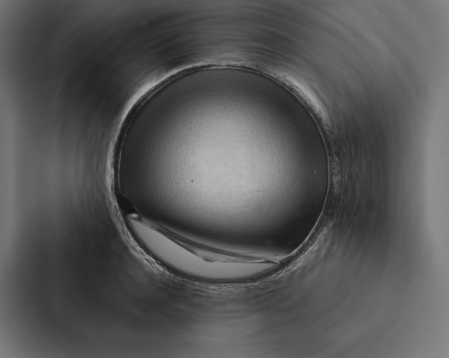 X0000087310944200705112114