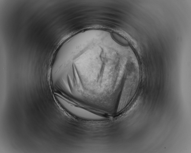 X0000087310945200705112114