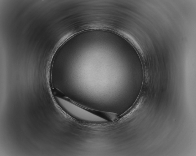 X0000087310946200705112114