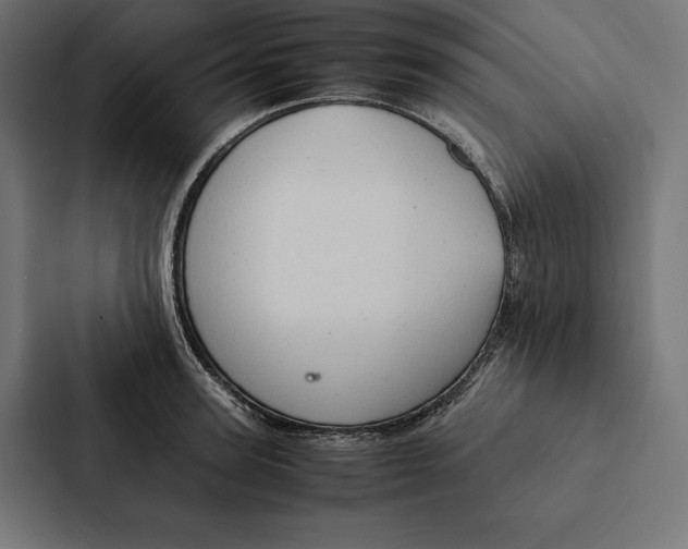 X0000087310947200705112114