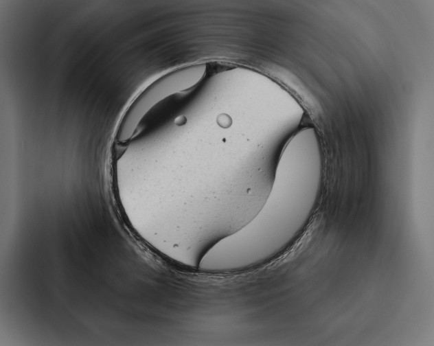 X0000087310948200705112114