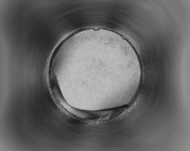 X0000087310949200705112114