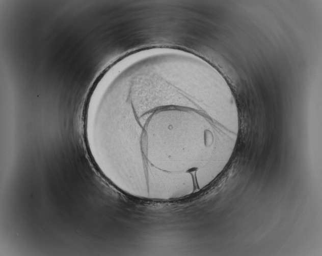 X0000087310950200705112114