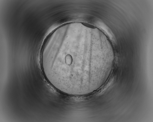 X0000087310952200705112114